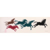 Fang - Cavalos coloridos - 2