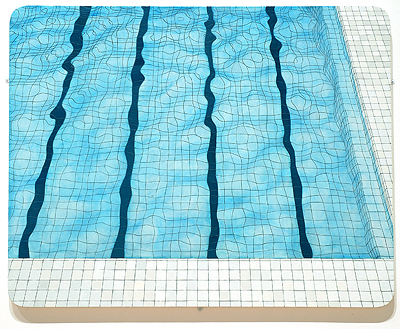 Adriana Varejão – Swimming Pool